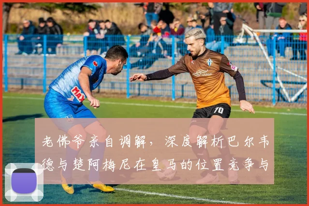 老佛爷亲自调解,深度解析巴尔韦德与楚阿梅尼在皇马的位置竞争与关系走向