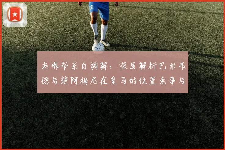老佛爷亲自调解，深度解析巴尔韦德与楚阿梅尼在皇马的位置竞争与关系走向